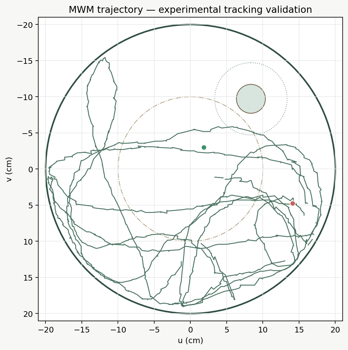 Swim trajectory from a RodentMetrics Morris Water Maze analysis